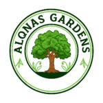 chatgpt image jul 9, 2025 at 12 23 38 pm